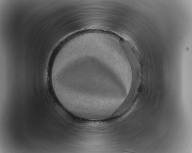 X0000088080880200706081727