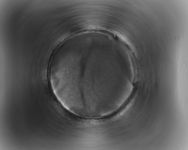 X0000088080881200706081727