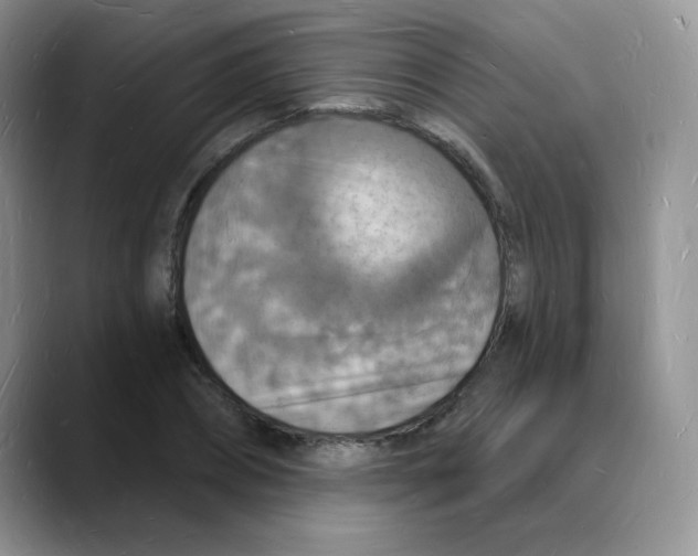 X0000088080882200706081727