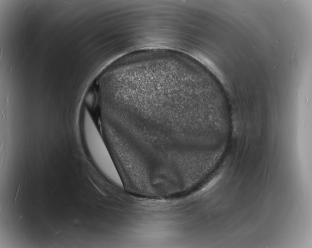 X0000088080885200706081727