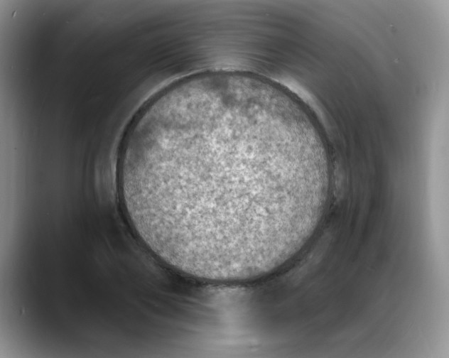 X0000088080886200706081727