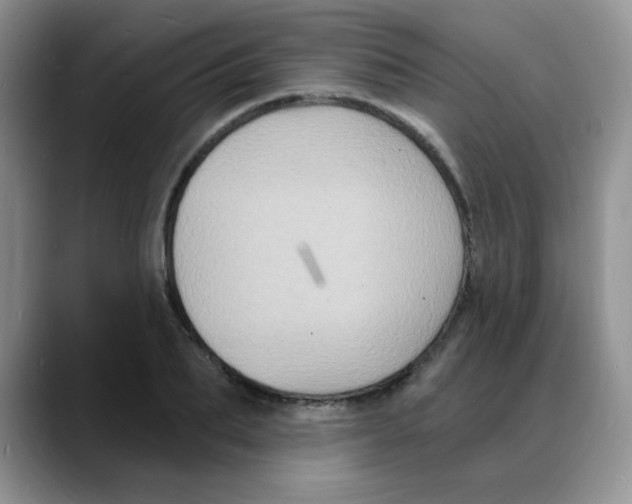 X0000088080887200706081727