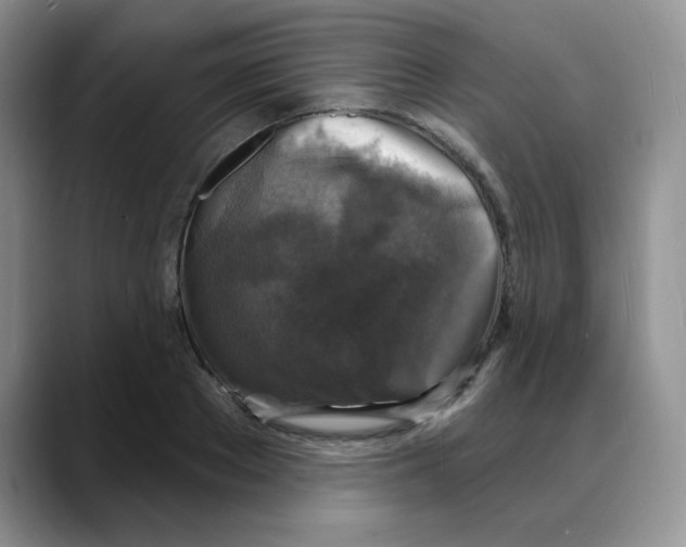 X0000088080889200706081727