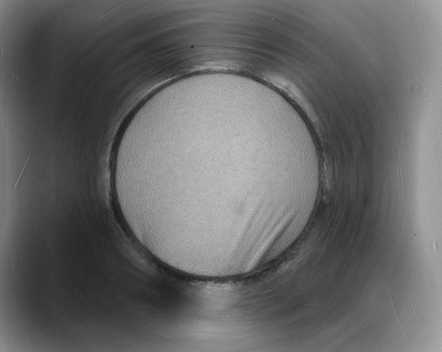 X0000088080890200706081727