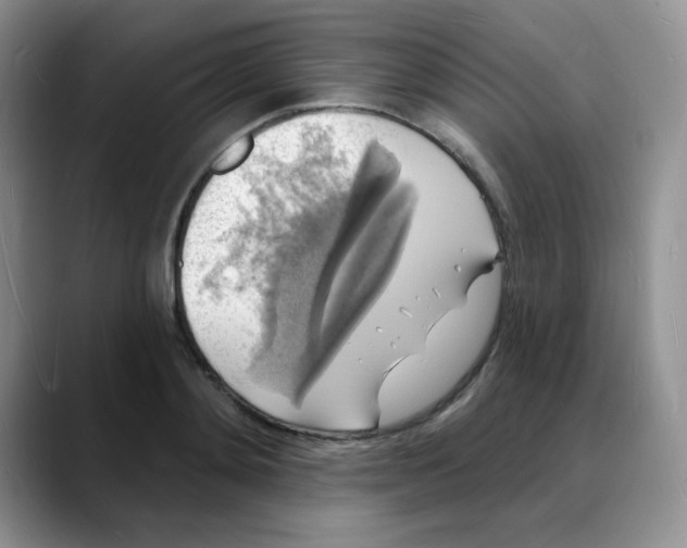 X0000088080892200706081727