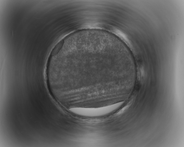 X0000088080893200706081727
