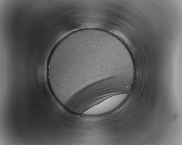X0000088080894200706081727