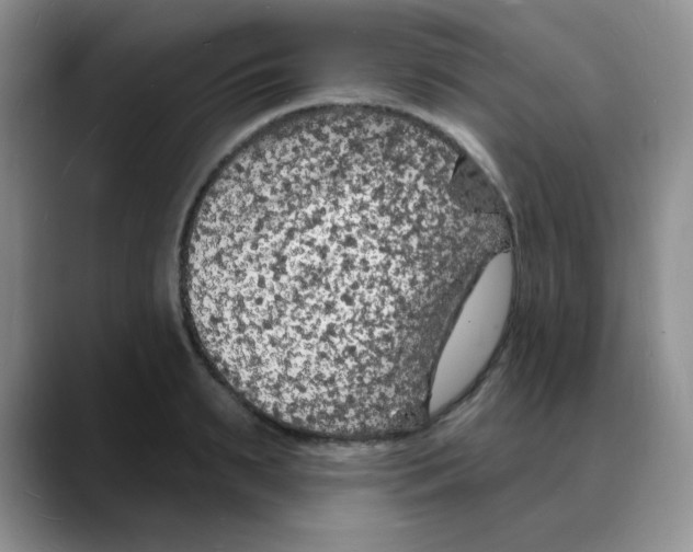 X0000088080895200706081727