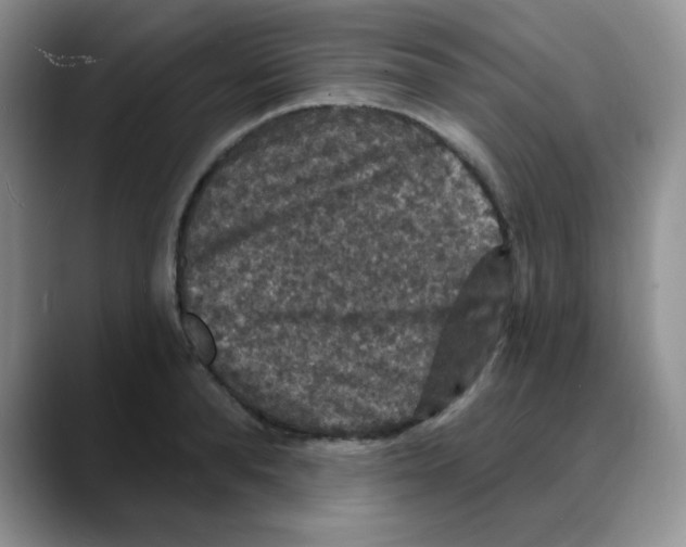 X0000088080896200706081727