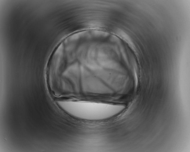 X0000088080899200706081727