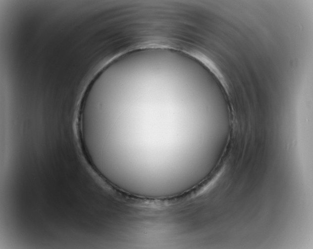 X0000088080901200706081727
