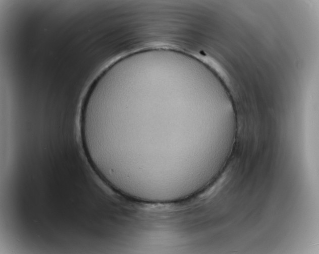 X0000088080902200706081727
