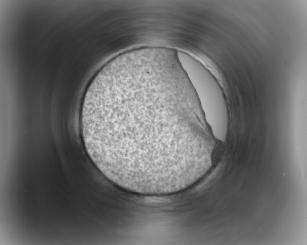 X0000088080904200706081727