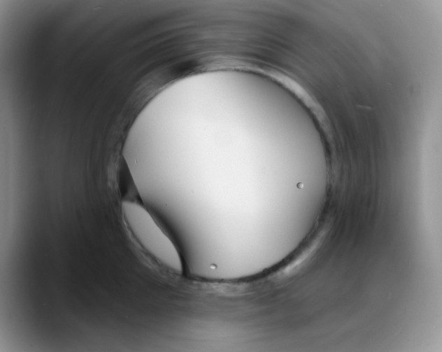X0000088080905200706081727