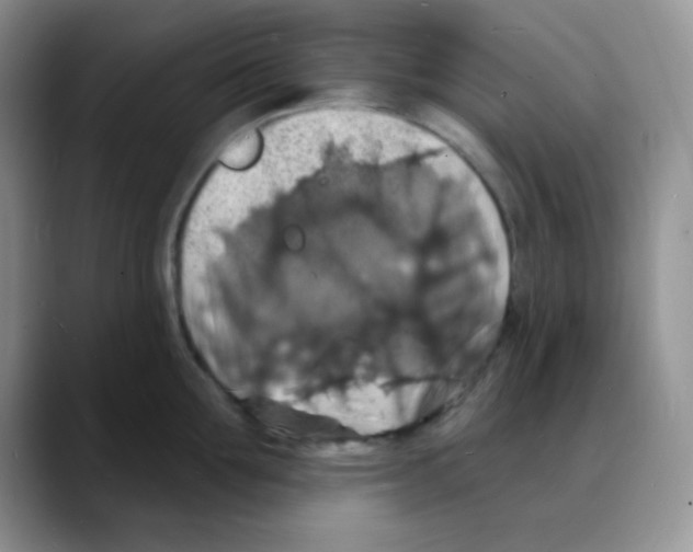 X0000088080907200706081727