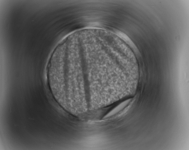 X0000088080908200706081727