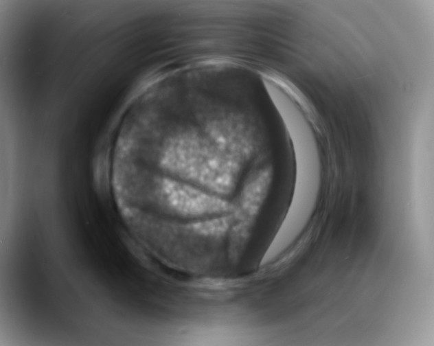 X0000088080910200706081727