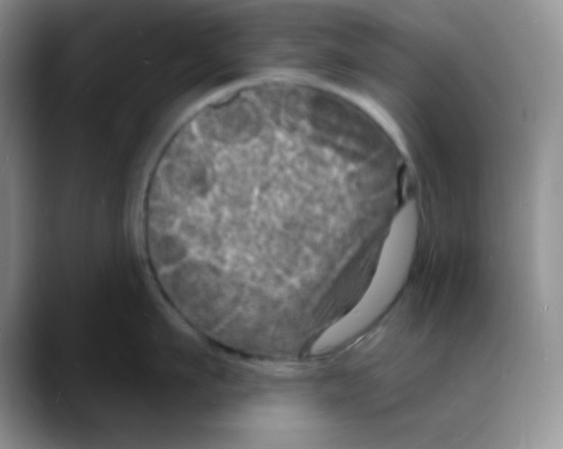 X0000088080911200706081727