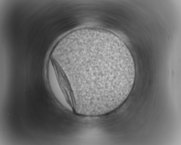 X0000088080912200706081727