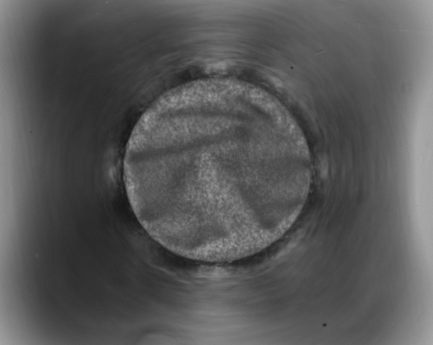 X0000088080914200706081726