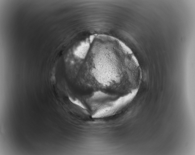 X0000088080915200706081726