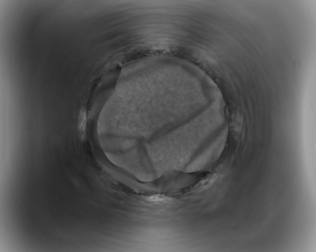 X0000088080916200706081726