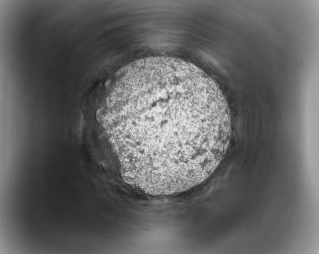 X0000088080917200706081726
