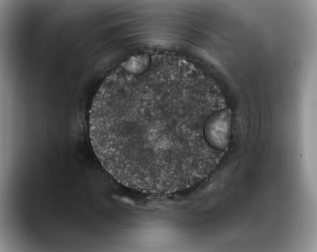 X0000088080918200706081726
