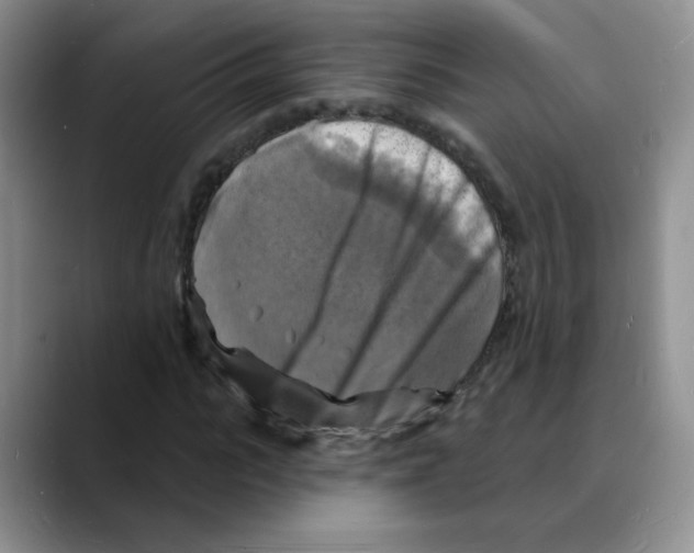 X0000088080919200706081726