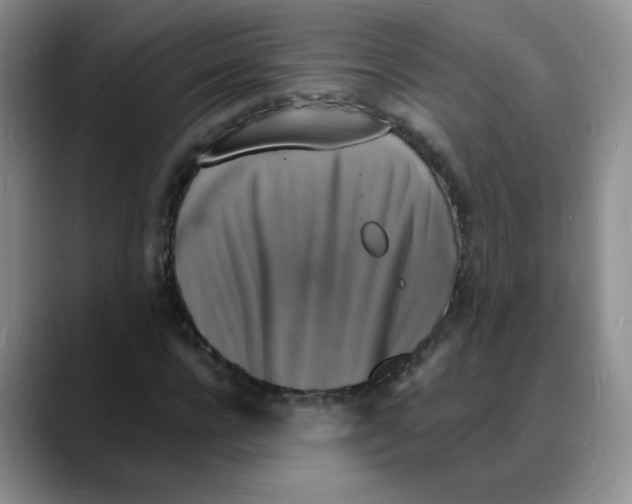 X0000088080920200706081726