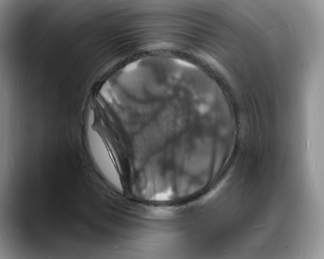 X0000088080921200706081726