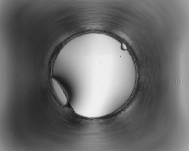 X0000088080922200706081726