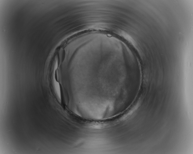 X0000088080923200706081726