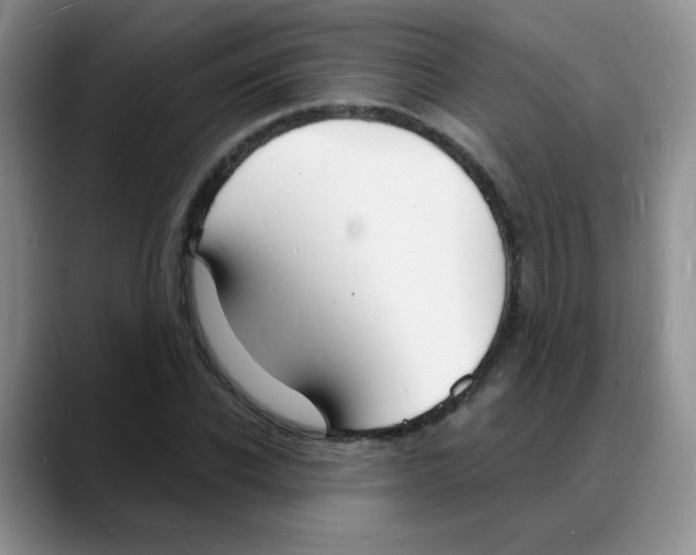 X0000088080926200706081726