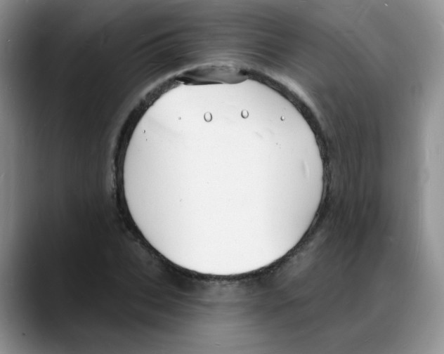 X0000088080927200706081726