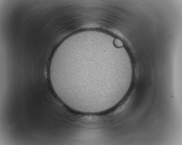 X0000088080929200706081726