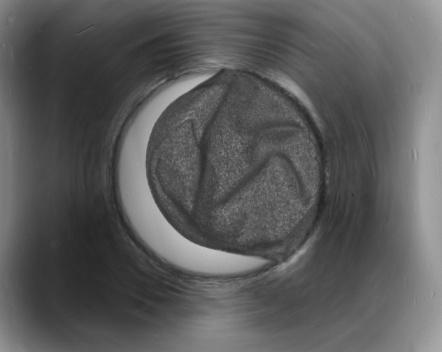 X0000088080930200706081726