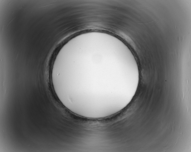 X0000088080931200706081727