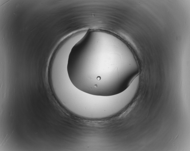 X0000088080932200706081727