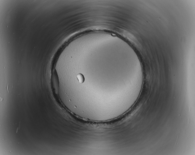 X0000088080934200706081727