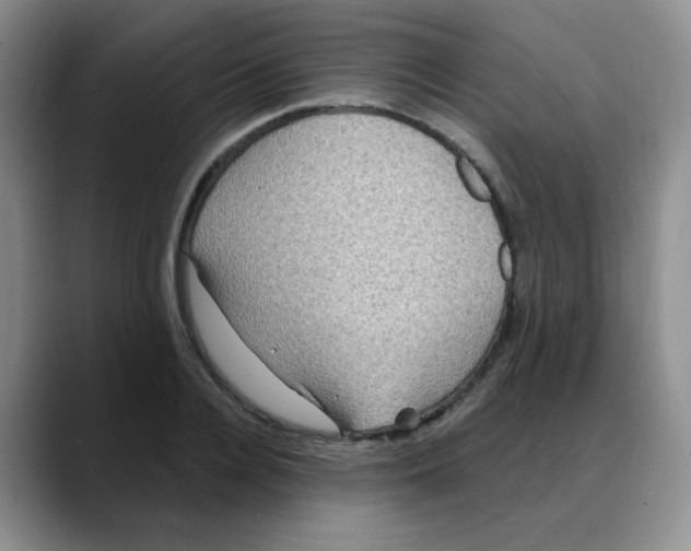 X0000088080936200706081727