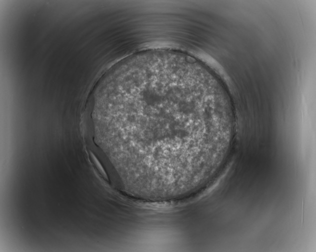 X0000088080937200706081727