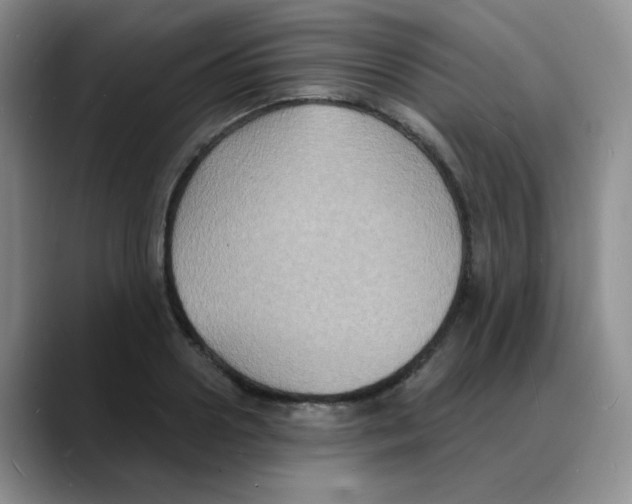 X0000088080938200706081727