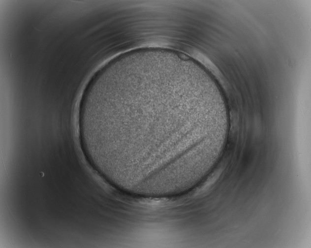 X0000088080939200706081727