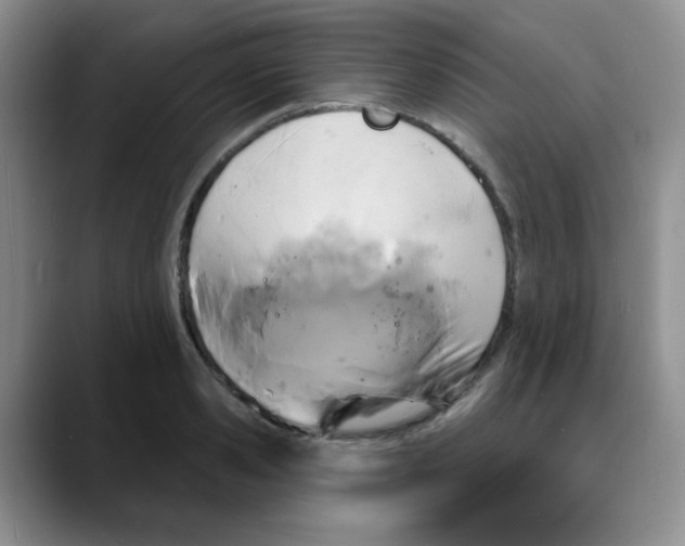 X0000088080941200706081727