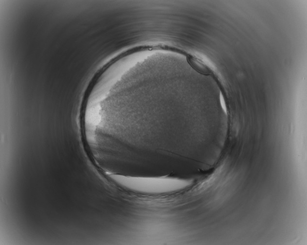 X0000088080943200706081727