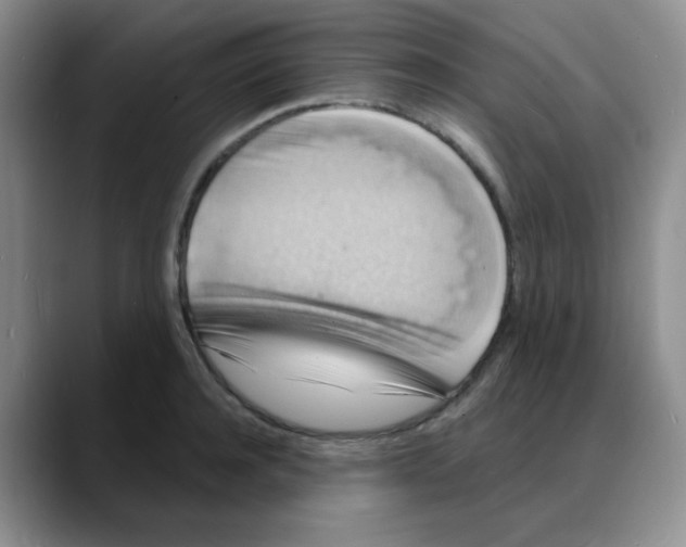 X0000088080944200706081727