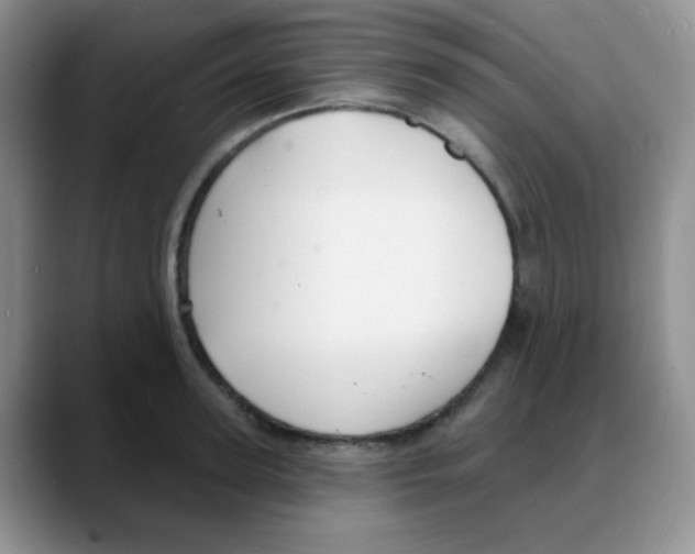 X0000088080947200706081727