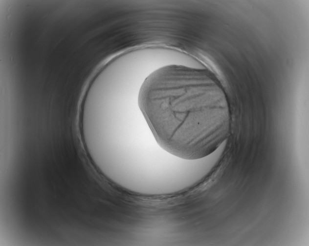X0000088080948200706081727