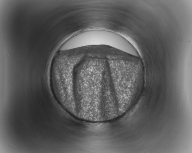X0000088080949200706081727